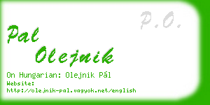 pal olejnik business card